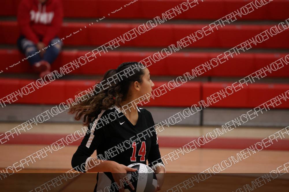Photo preview