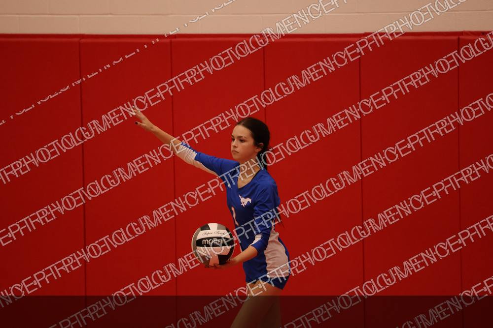 Photo preview