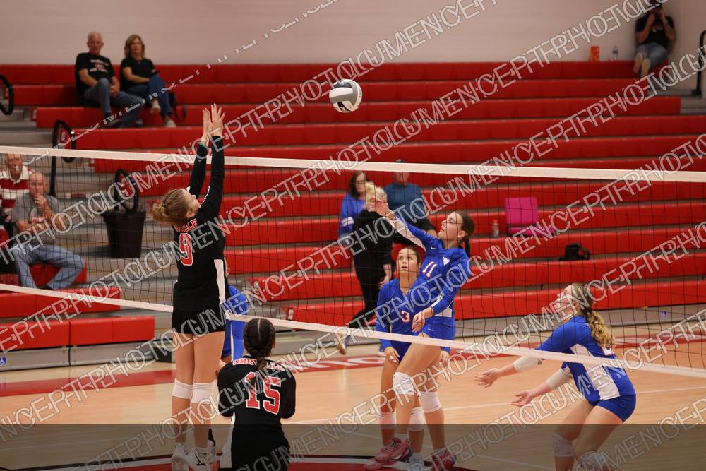 Photo preview