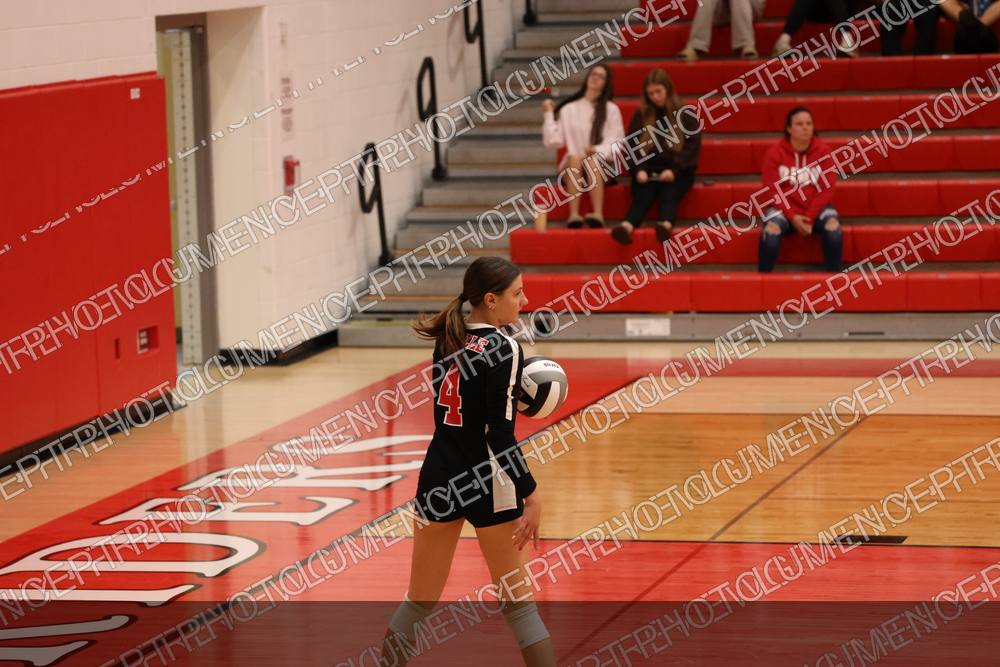 Photo preview