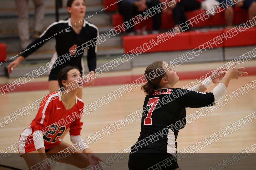 Photo preview