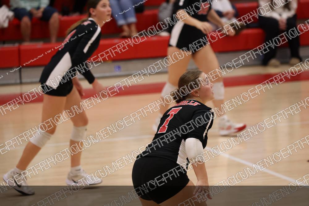 Photo preview