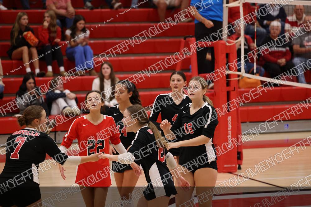 Photo preview