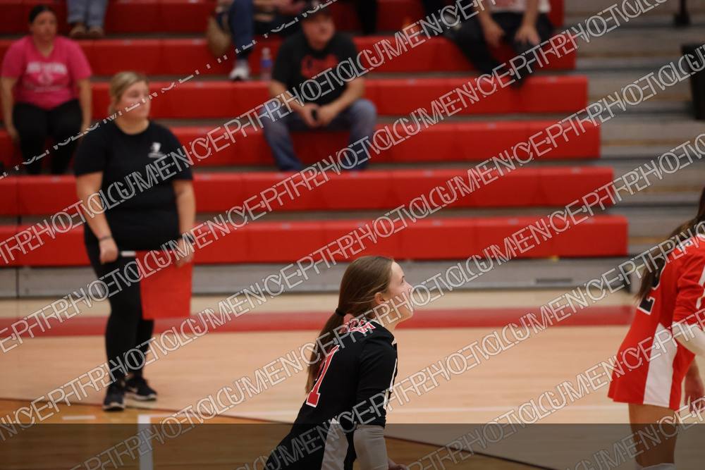 Photo preview