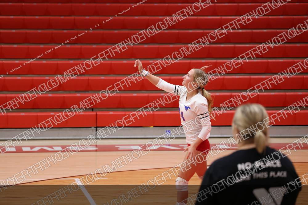 Photo preview