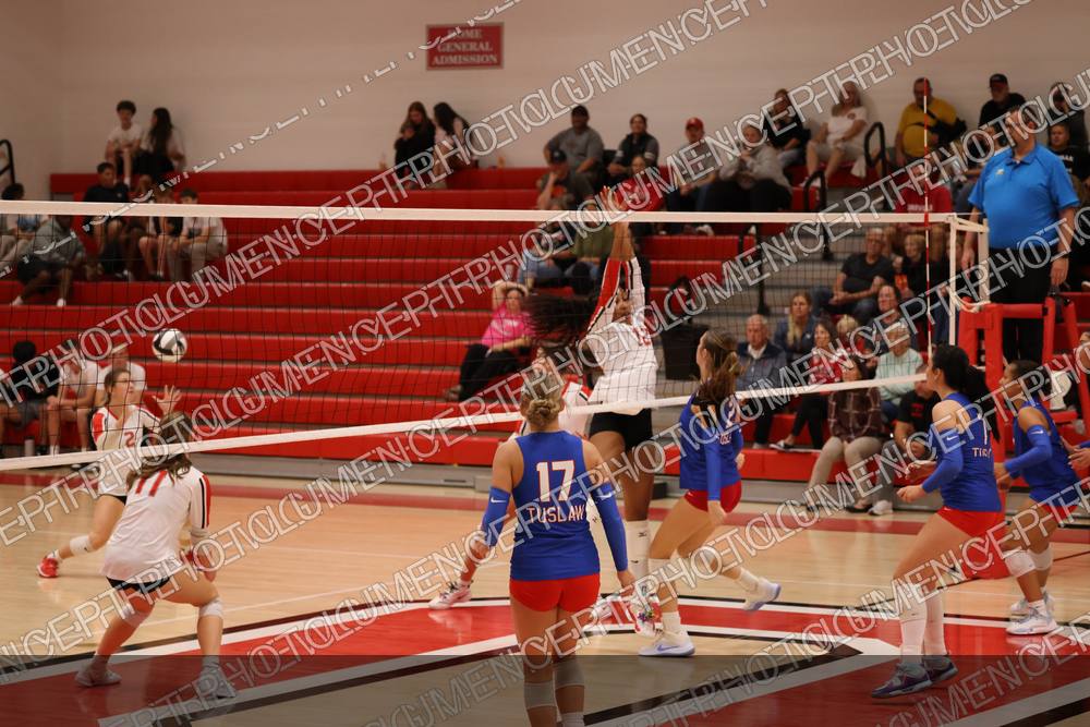 Photo preview
