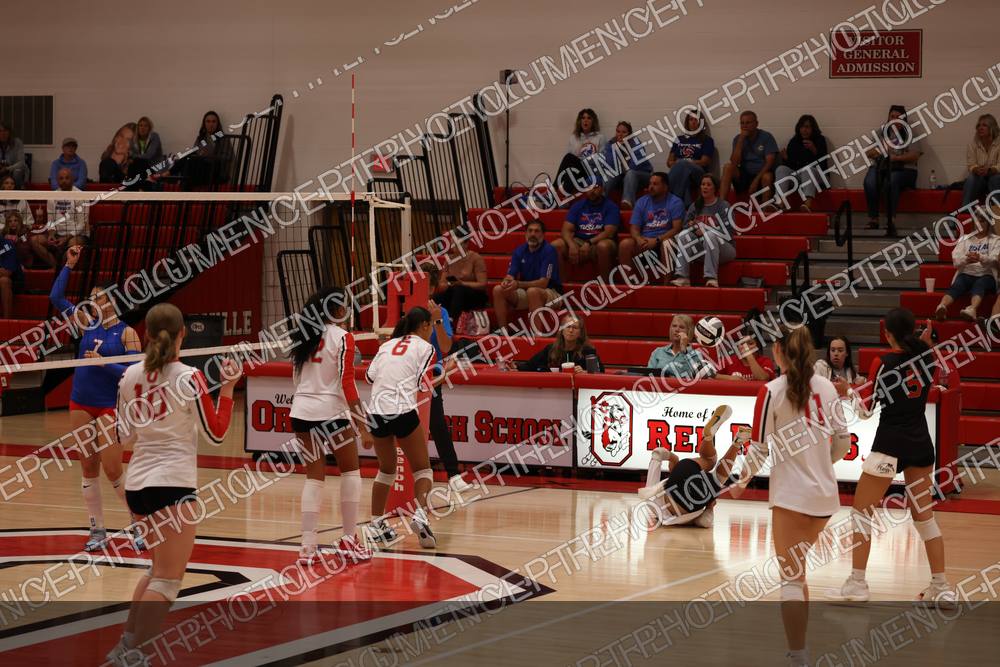 Photo preview