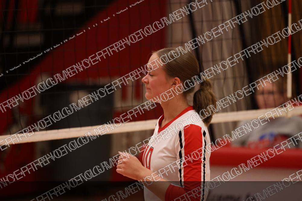 Photo preview