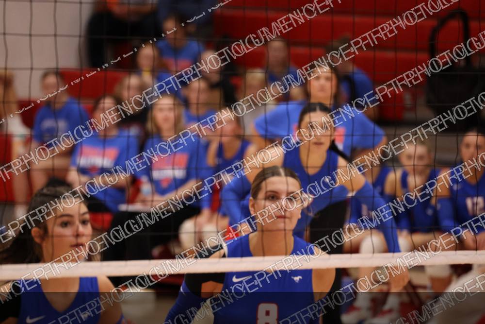 Photo preview
