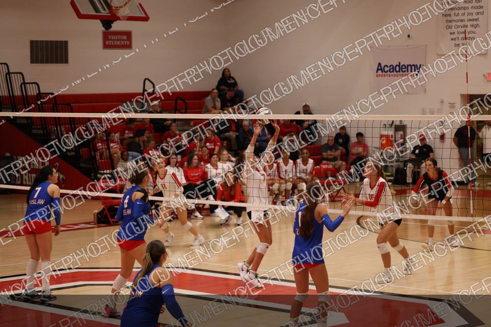 Photo preview