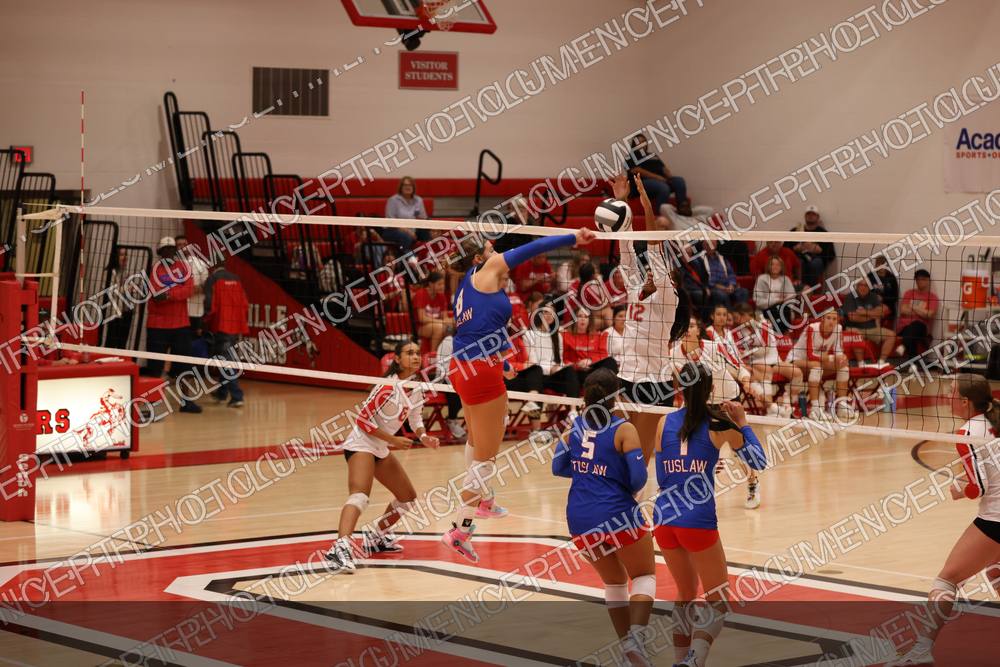 Photo preview