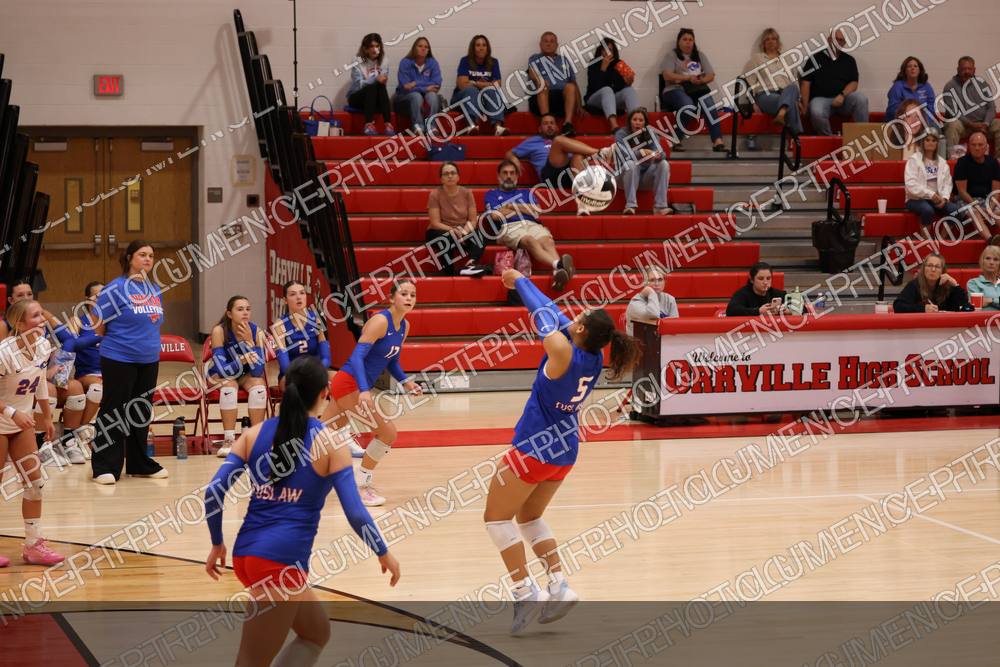 Photo preview