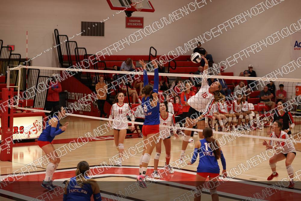 Photo preview