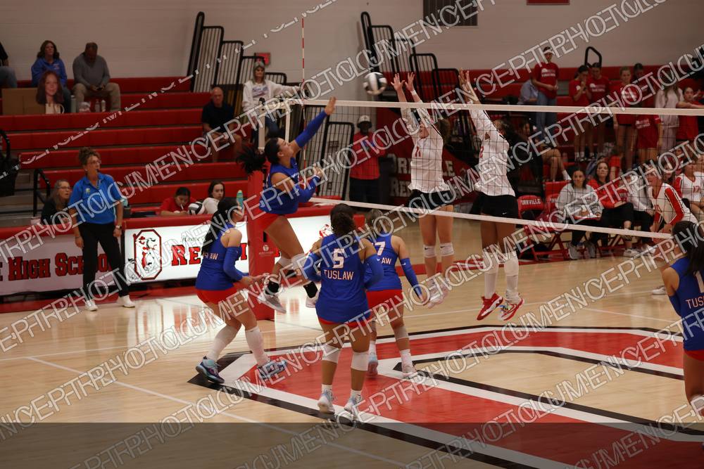Photo preview