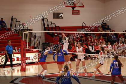 Orrville High School vs Tuslaw game-day sports photo